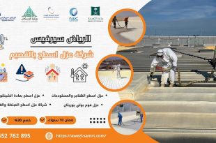 شركة الرياض سيرفيس للخدمات المنزلية